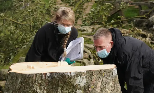 Two police officers all in black, one male and the other female, are leaning over and inspecting the stump of the tree.