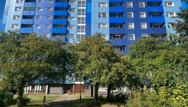Trees in front of a tower block which is painted in a combination of light and dark blues.