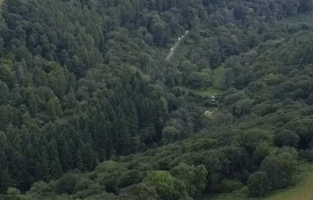 Heavily wooded area with a road in the distance