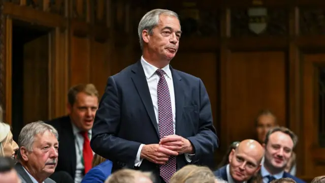 Nigel Farage stood in House of Commons, wearing a suit and tie