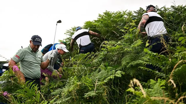 Padraig Harrington, Tom McKibbin and Nicolai Hojgaard search in thick rough