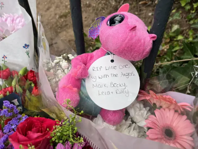 Pink dragon with cuddly toy that says "RIP little one, fly with the angels".