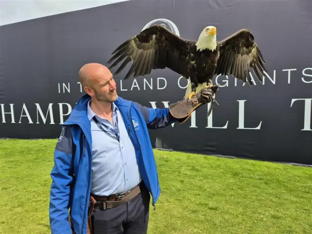 Pilgrim the American bald eagle