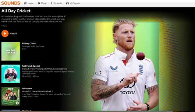 Screenshot of All Day Cricket