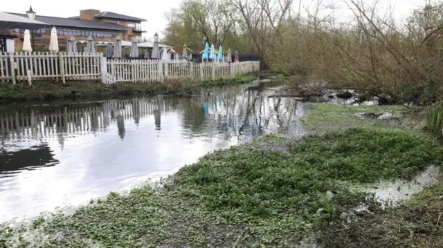 A river after a sewage discharge