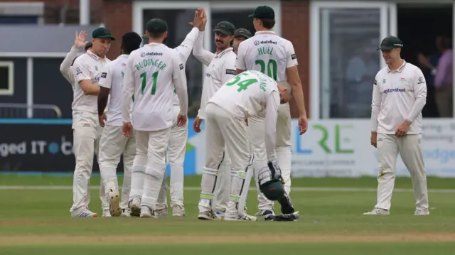 Leicestershire's players celebrate a wicket