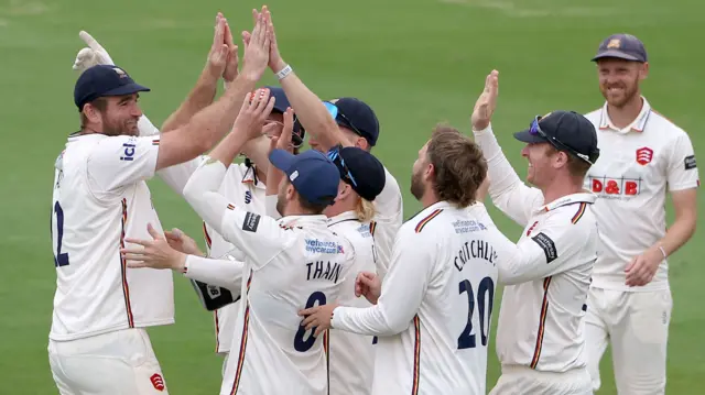 Essex celebrate taking a wicket against Sussex