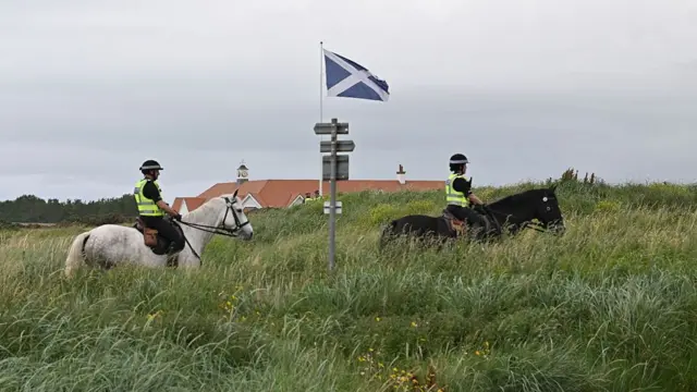 Two horses being ridden by police through thick grass