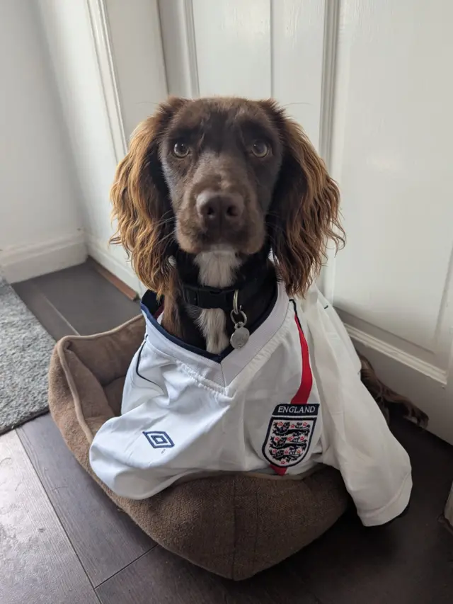 Rosie in an England shirt
