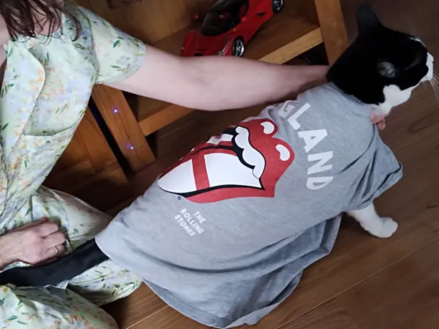 Photo of a cat in an England shirt