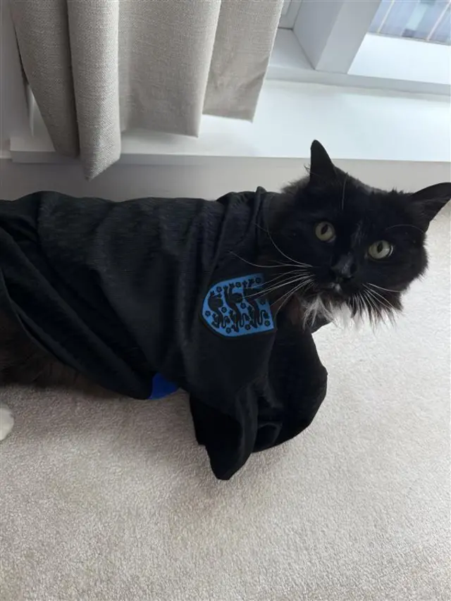 Cat in England top