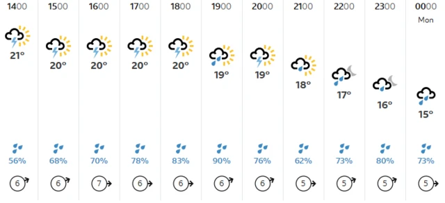 Sunday's Basel weather from BBC Weather