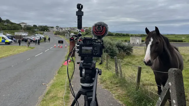 A horse and camera