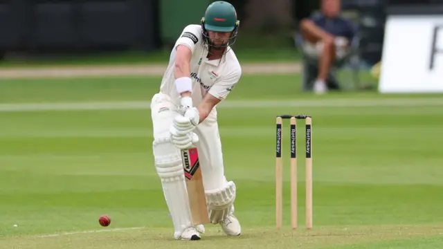 Sol Budinger batting for Leicestershire