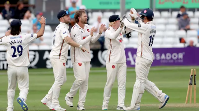 Essex celebrate wicket