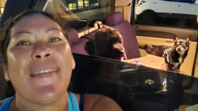 Johnson takes a selfie, where behind her two small dogs are in a car