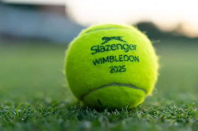 A tennis ball at Wimbledon