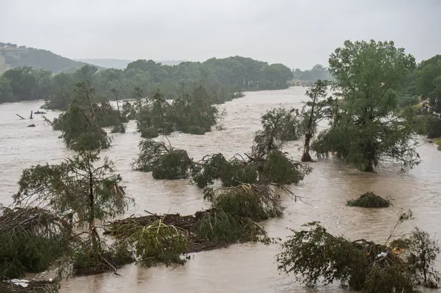 Trees and shrubbery flooded by water over large area.