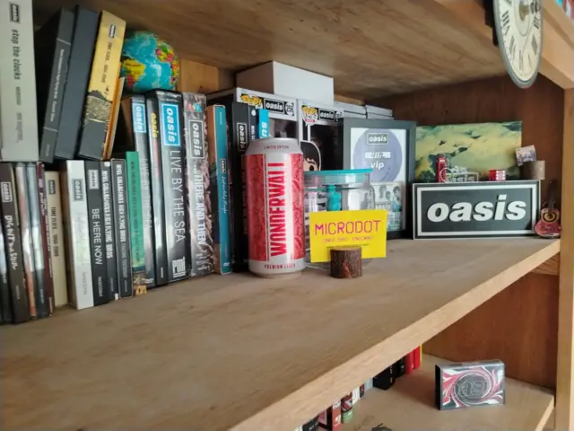 There are numerous Oasis records on a shelf.