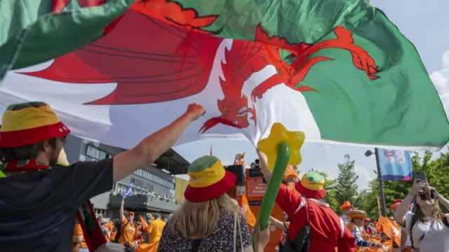 Wales fans