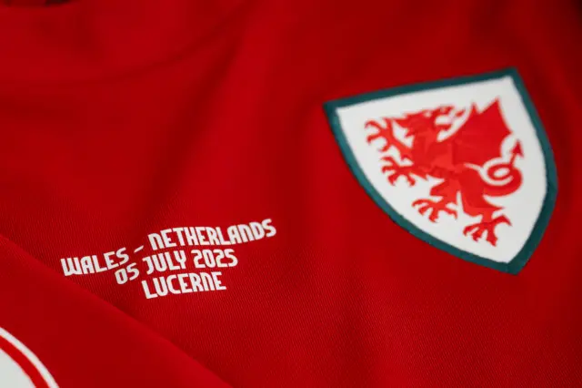 Detail on one of Wales' match shirts for today's game