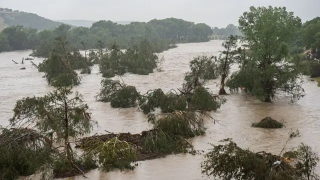 Trees submerged under dark and muddy flash flooding, only tops visible