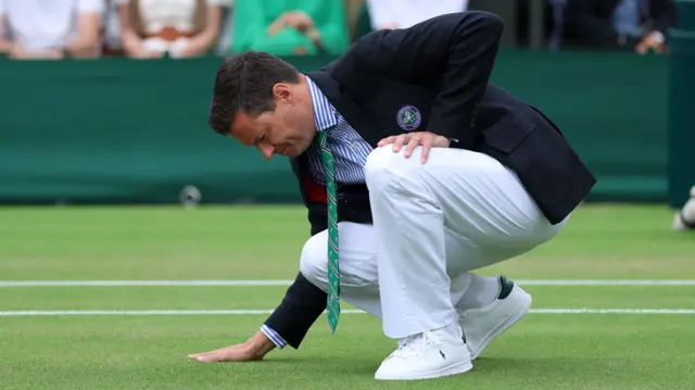 Umpire touches grass