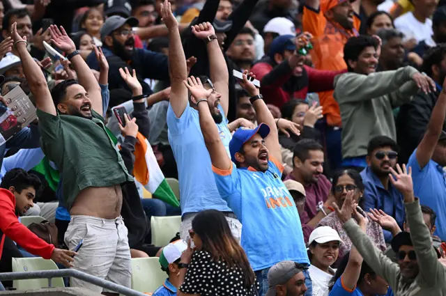 India fans