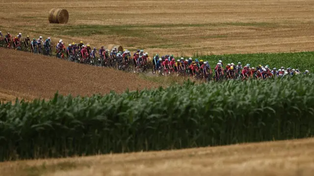 Peloton