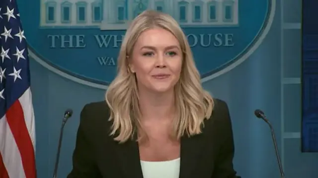 White House Press Secretary Karoline Leavitt