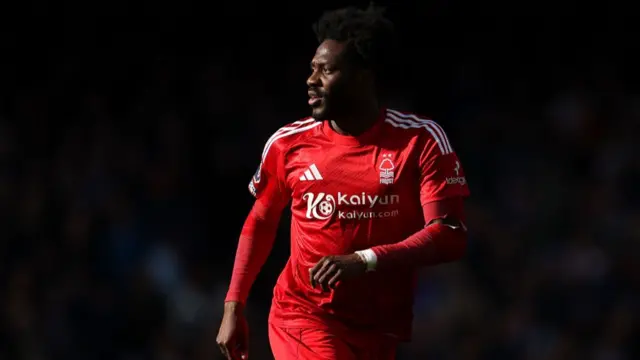 Aina in action for Forest