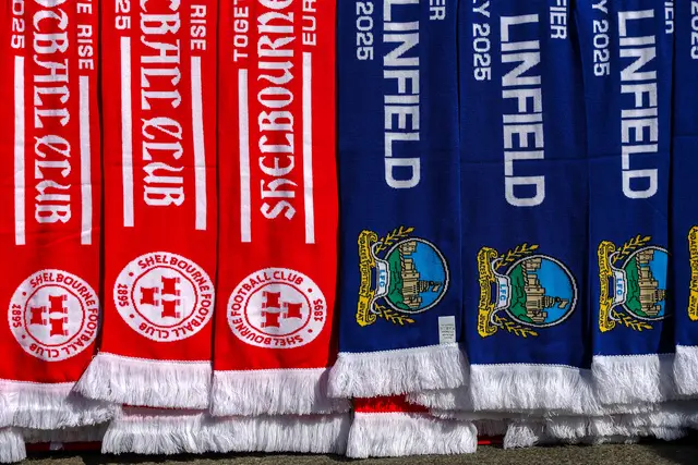 Shelbourne and Linfield scarves