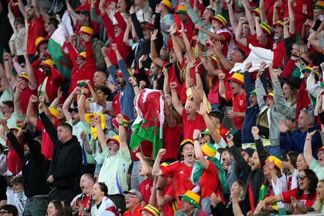 Wales fans celebrate