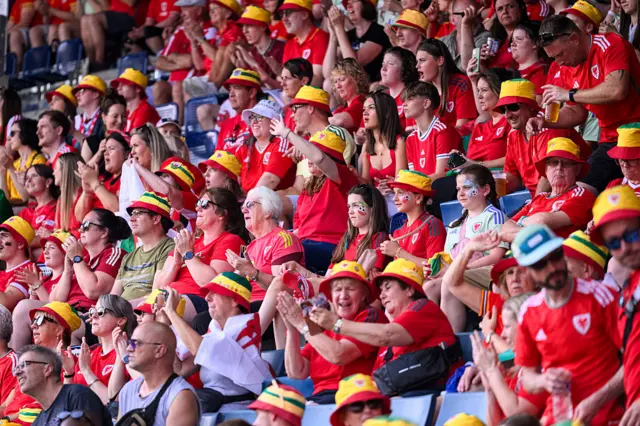 Wales fans at the Netherlands game