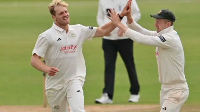 Dillon Pennington celebrates taking wicket