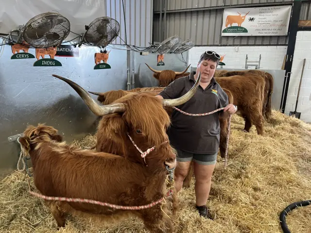 A woman holds a rope attached to a brown highalnd cow as it looks around its pen. There are several cows around it. Above them are several fans aimed at the cows  blasting cool air.