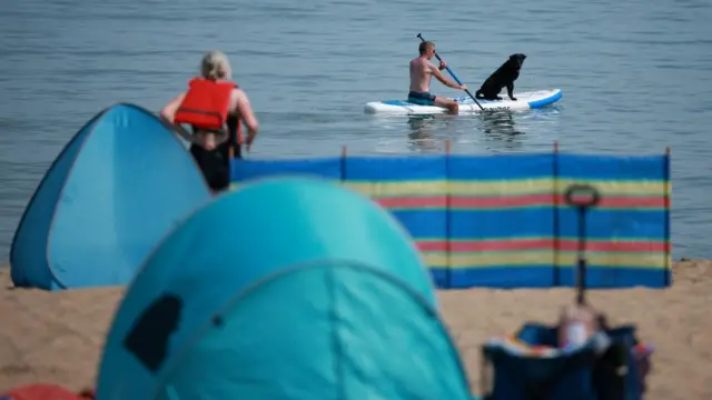 A man sitting on a paddleboard with his dog near the beach, as a woman puts on a life jacket in front of a windbreaker behind her on the sand