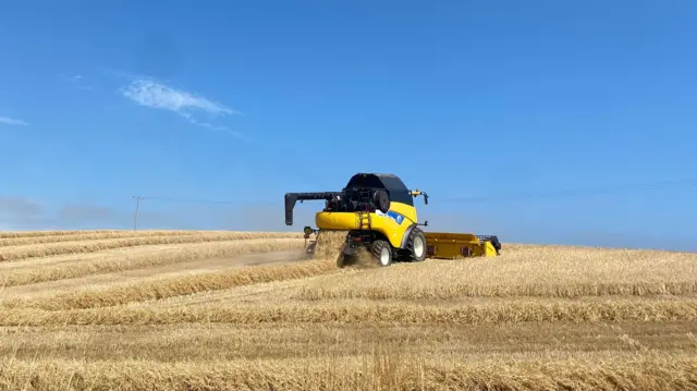 A yellow tractor on a farm in Aderdeen