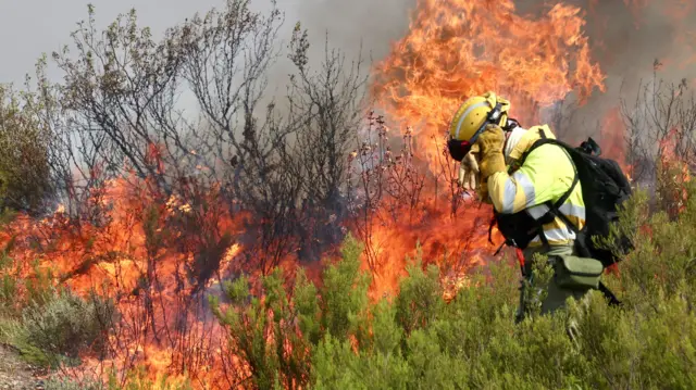 Flames fan upwards through mountainous brush, as a firefighter walks close by