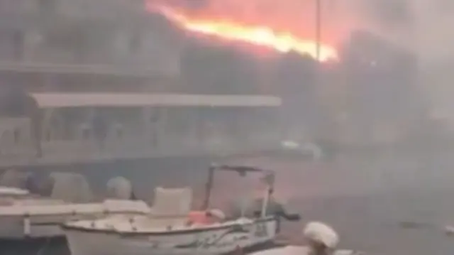 A screengrab from footage posted on X by Daphne Tolis shows the fire near the town of Limnia on the island of Chios