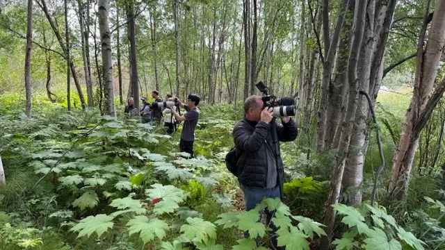 Photographers pictured at Potter Marsh wetlands