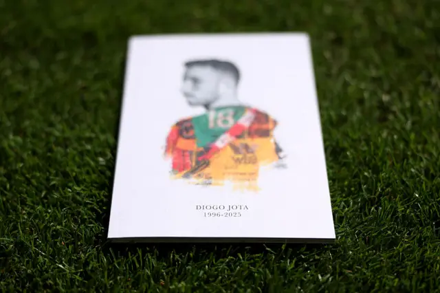 Wolves programme