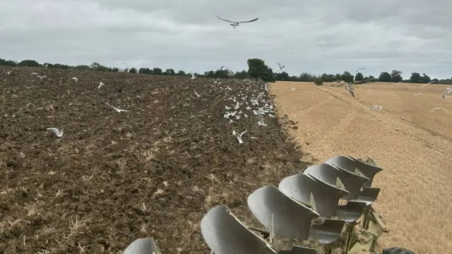 An image of a man ploughing soil