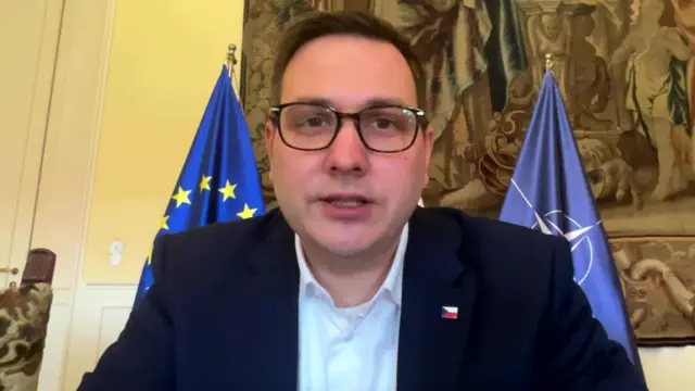 A man in a dark blue suit and white shirt with a Czech flag pinned to his jacket, behind him are two flags and a beige coloured historic painting