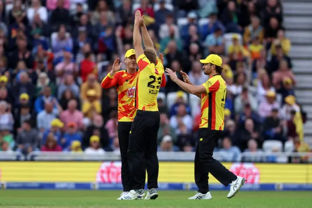 David Willey celebrates