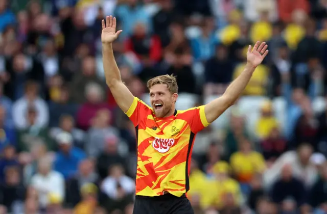 David Willey celebrates