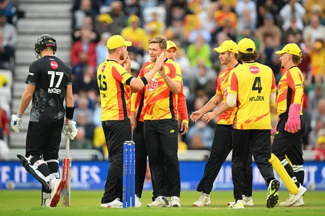David Willey celebrates the wicket of Ben McKinney