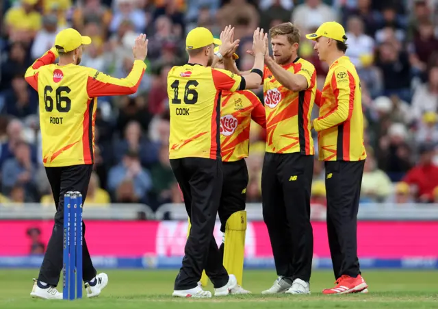 David Willey and Trent Rockets celebrate a wicket
