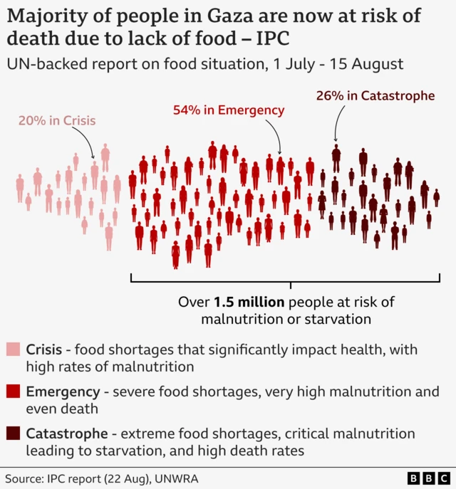 A graphic showing the food security situation between 1 July and 15 August which categorises the population into three levels of food insecurity: 20% in Crisis – experiencing food shortages that significantly impact health, with high rates of malnutrition; 54% in Emergency – facing severe food shortages, very high malnutrition, and even death; 26% in Catastrophe – suffering extreme food shortages, critical malnutrition leading to starvation, and high death rates.