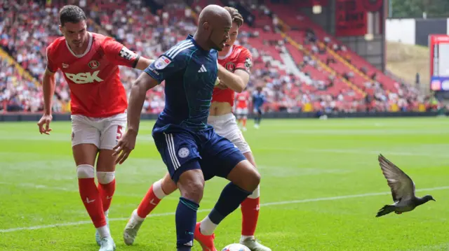 Pigeon flies during Charlton v Leicester